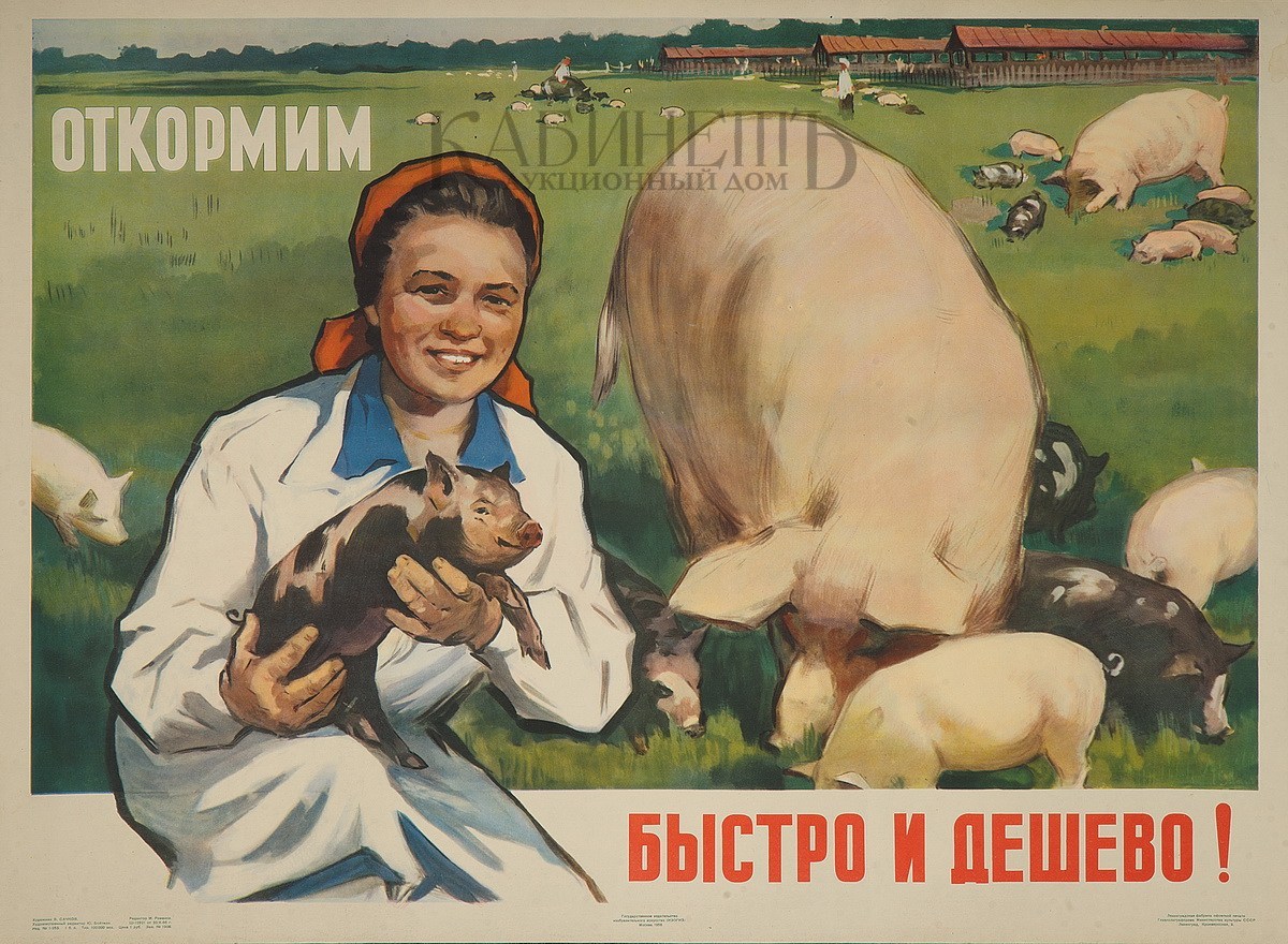 Агитация детей. Советские плакаты. Советские плакаты животноводство. Советские плакаты про сельское хозяйство. Свиноводство плакат.