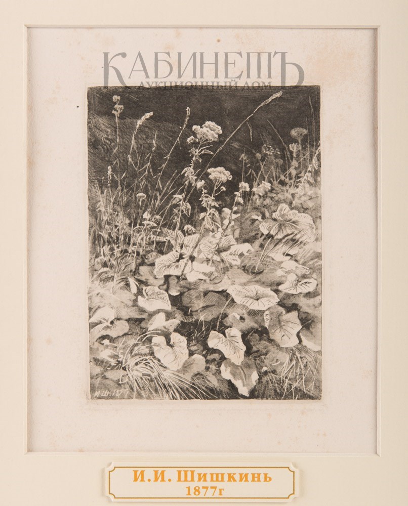 Шишкин Белый Город Купить Книгу